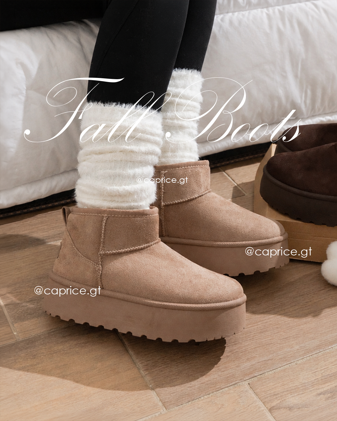 Bota